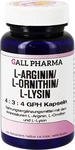 PZN-DE 04131897, GALL PHARMA L-ARGININ/L-ORNITHIN/L-Lysin 4:3:4 GPH Kapseln 100 St,