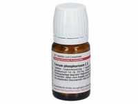 Ferrum Phosphoricum C 6 Tabletten 80 St