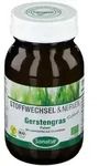 Gerstengras BIO Pulver 90 g