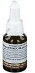 Grifola frondosa D 5 Tropfen 30 ml zum Einnehmen