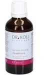 Gemmo-Mazerat Haselnuss Dr.Koll Corylus avell.Tro. 50 ml Tropfen