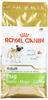 Royal Canin Canine Pug 1,5 kg Pellets