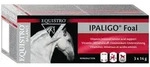 Equistro Ipaligo Foal Erg.Futterm.Paste f.Pferde 3x14 g Paste