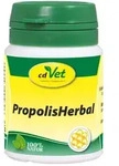 Propolis Herbal Pulver vet. 20 g