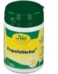 Propolis Herbal Pulver vet. 45 g