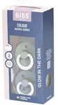 Bibs Fopspeen Glow in the Dark Sage - Cloud 6-18 Maanden 2 St Sauger