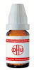 Cantharis D 5 Dilution 20 ml