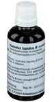 Humulus Lupulus Urtinktur 50 ml Dilution