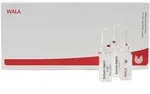 Mesenchym/Calcium carbonicum comp.Ampullen 5x10 ml Ampullen
