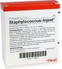 Staphylococcus Injeel Ampullen 10 St