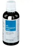 Infi Orthosiphonis Tropfen 50 ml