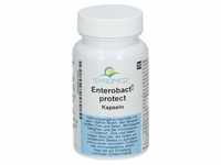 ENTEROBACT-protect Kapseln 30 St