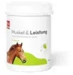 PHA Muskel & Leistung Pulver f.Pferde 850 g