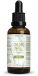 Chlorophyll 200 mg Tropfen 50 ml zum Einnehmen