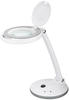 Goobay LED-Stand-Lupenleuchte, 6 W - 80-450 lm, dimmbar, 100 mm Glaslinse, 1,75-fache