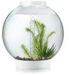 biOrb&reg; Aquarium CLASSIC 30 LED, Wei&szlig;