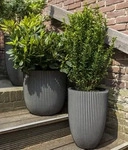 Capi Europe Kunststoff-Topf Groove, rund