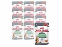 ROYAL CANIN® Nassfutter für Katzen Digestive Care in Soße...