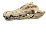 Nobby Aquariumdeko Krokodil Sch&auml;del, ca. B26/H9/T14 cm