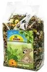 JR FARM Nagerfutter Degu-Spezial, 500 g