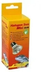 Lucky Reptile W&auml;rmestrahler Halogen Sun Mini