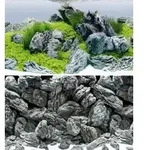 JUWEL&reg; AQUARIUM Aquarium R&uuml;ckwand Poster 4
