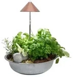 Venso LED-Pflanzenlampe, Kupfer