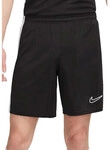 Nike Shorts DV9742