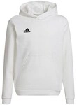 adidas Kapuzensweaters Entrada 22