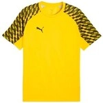 Puma T-Shirts & Poloshirts TeamLIGA26