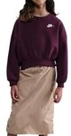 Nike Kapuzensweaters FZ9244