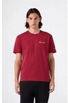 Champion T-Shirts & Poloshirts Short Sleeve T-Shirt