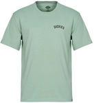 Dickies T-Shirt DICKIES SNAKE SS TEE