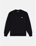 Dickies Kapuzensweaters SUMMERDALE SWEATSHIRT - DK0A4Y6Q-BLACK