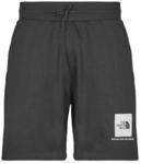 The North Face Shorts Box Nse Regular Short