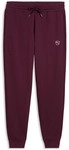Puma Hosen Ess Elevated Sweatpants Fl Cl