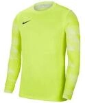 Nike Badeshorts Gardien Park Iv