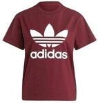 adidas T-Shirts & Poloshirts Trefoil IB7422