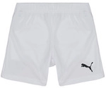 Puma Shorts Kinder TEAMRISE SHORT