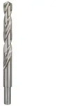 Bosch PRO Metal HSS-G Spiralbohrer, 15 x 114 x 169 mm Durchmesser (D) mm: