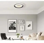 LED Decken Lampe dimmbar Wohn Zimmer Fernbedienung Tageslicht Leuchte 50 cm