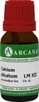PZN-DE 06921379, Calcium Silicatum Arcana Lm 12 10 ml Dilution - Hom&ouml;opathisches