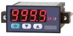Riegler Mikroprozessorgesteuerte Digital-Anzeige, 4-stellige LED-Anzeige