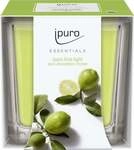 ipuro Duftkerze Essentials Lime Light 125 g