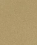 Rasch Vliestapete 520897 Braun-Ockerbraun Uni 10,05 m x 0,53 m