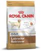 Royal Canin Hundefutter Labrador Retriever Adult 12 kg