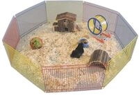 Nobby Hamster Freilauf 34 x 23 cm