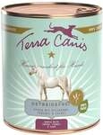 Terra Canis Getreidefrei Adult Pferd mit Steckr&uuml;be Fenchel & Salbei 800 g