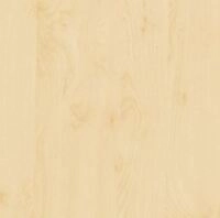 d-c-fix Selbstklebefolie Birke 67,5 cm x 2 m