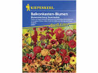 Kiepenkerl Balkonkasten-Blumen Mix Feuerzauber Inhalt: ca. 4 lfd. Meter...
